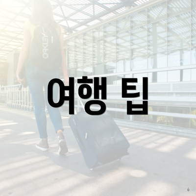 여행 팁