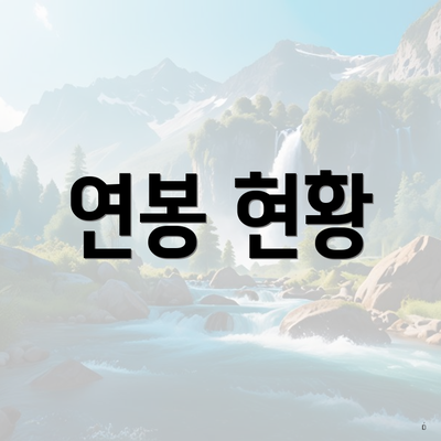연봉 현황