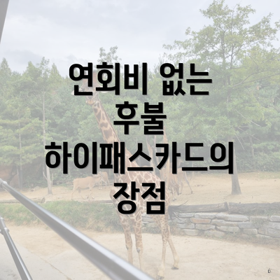 연회비 없는 후불 하이패스카드의 장점