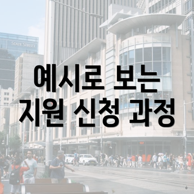 예시로 보는 지원 신청 과정