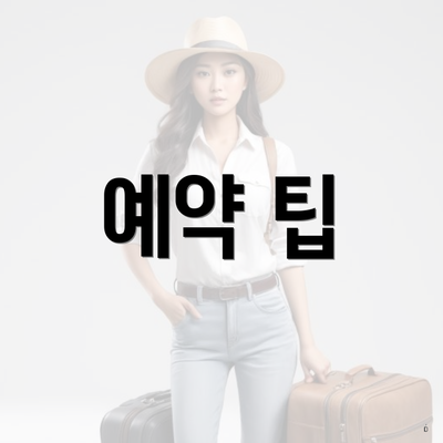 예약 팁