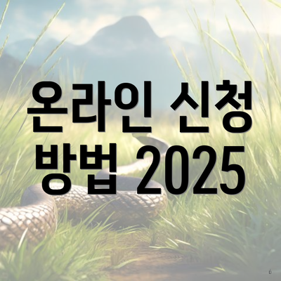 온라인 신청 방법 2025