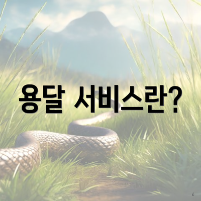 용달 서비스란?