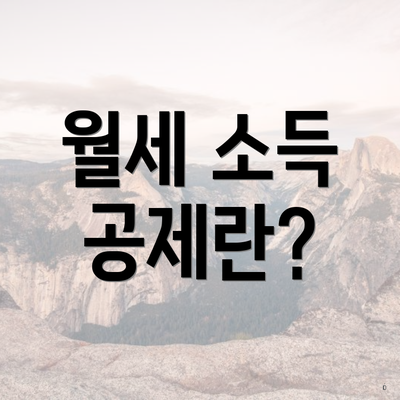 월세 소득 공제란?