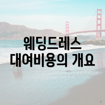 웨딩드레스 대여비용의 개요