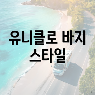 유니클로 바지 스타일