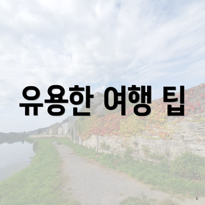 유용한 여행 팁
