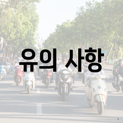 유의 사항