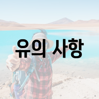 유의 사항