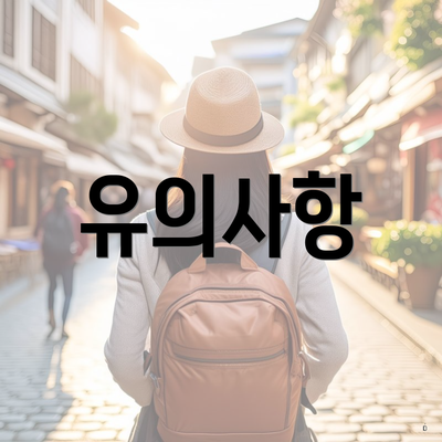 유의사항