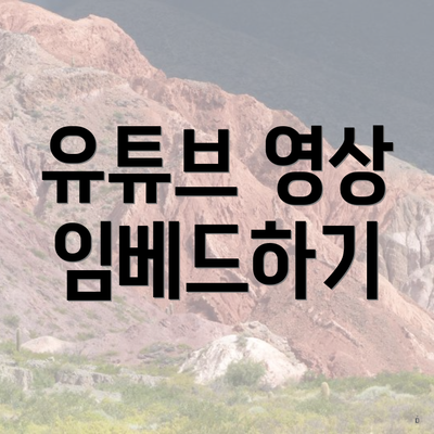 유튜브 영상 임베드하기