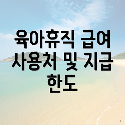 육아휴직 급여 사용처 및 지급 한도