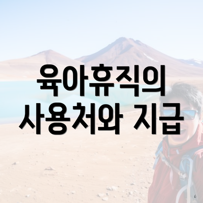 육아휴직의 사용처와 지급