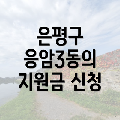은평구 응암3동의 지원금 신청