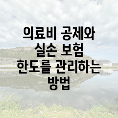 의료비 공제와 실손 보험 한도를 관리하는 방법