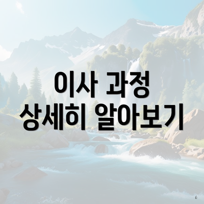 이사 과정 상세히 알아보기