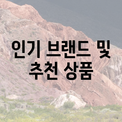 인기 브랜드 및 추천 상품
