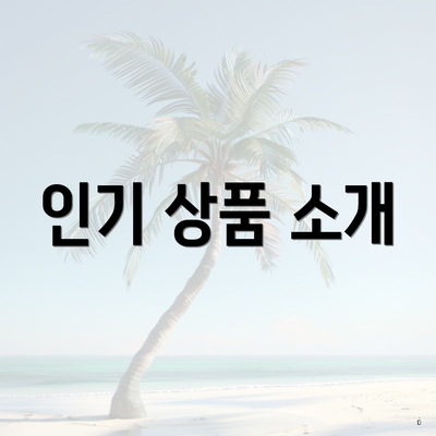 인기 상품 소개