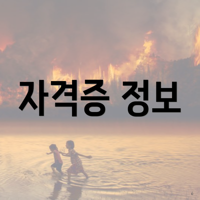자격증 정보