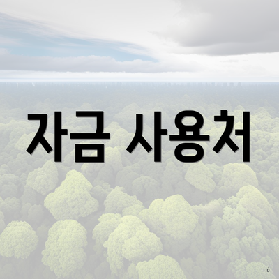 자금 사용처