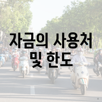 자금의 사용처 및 한도