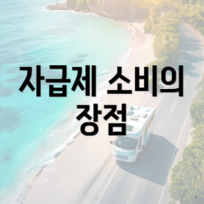 자급제 소비의 장점