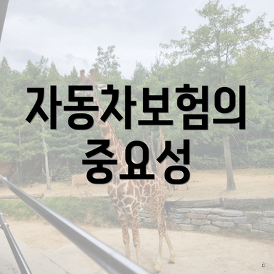 자동차보험의 중요성