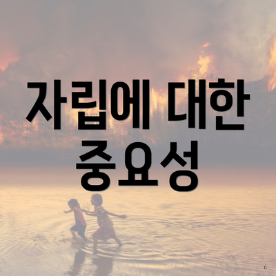 자립에 대한 중요성