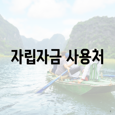 자립자금 사용처