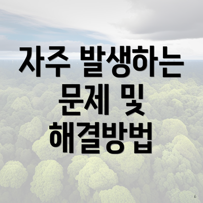 자주 발생하는 문제 및 해결방법