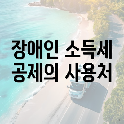 장애인 소득세 공제의 사용처
