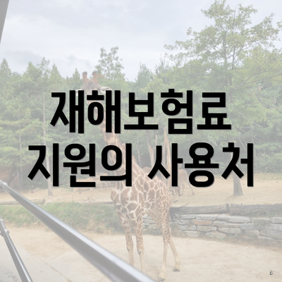 재해보험료 지원의 사용처