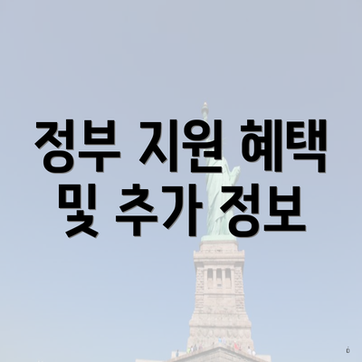 정부 지원 혜택 및 추가 정보