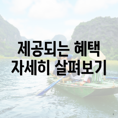 제공되는 혜택 자세히 살펴보기