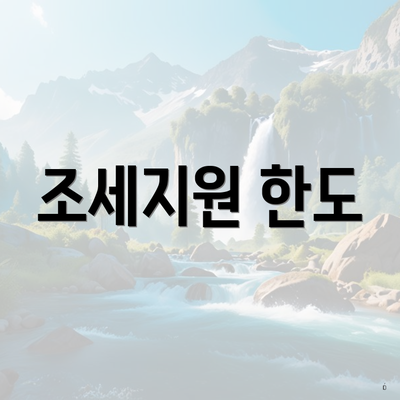 조세지원 한도
