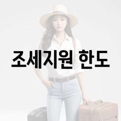 조세지원 한도