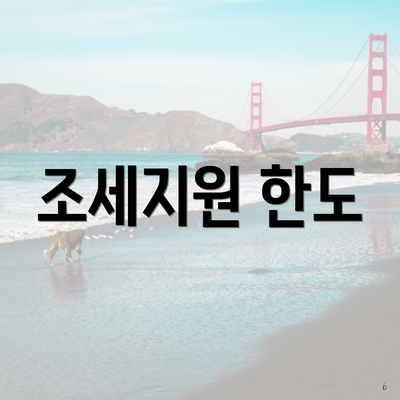 조세지원 한도