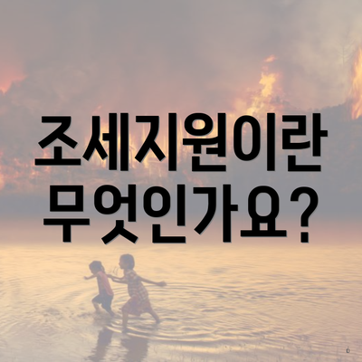 조세지원이란 무엇인가요?