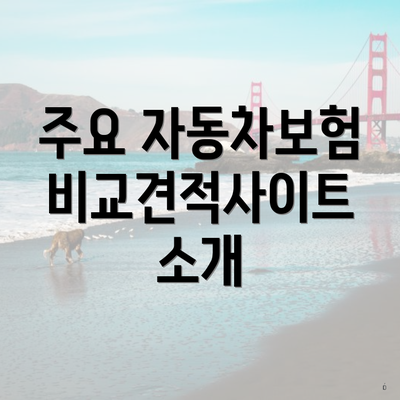 주요 자동차보험 비교견적사이트 소개