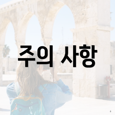 주의 사항