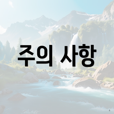 주의 사항