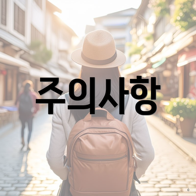 주의사항