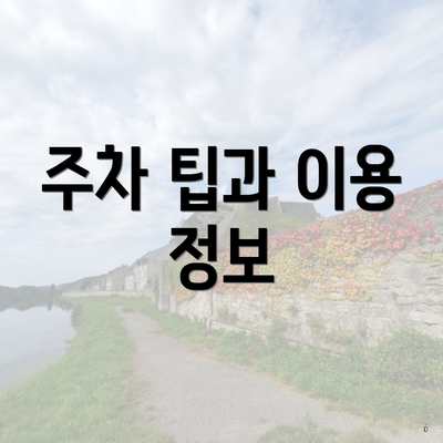 주차 팁과 이용 정보
