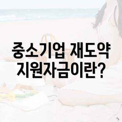 중소기업 재도약지원자금이란?