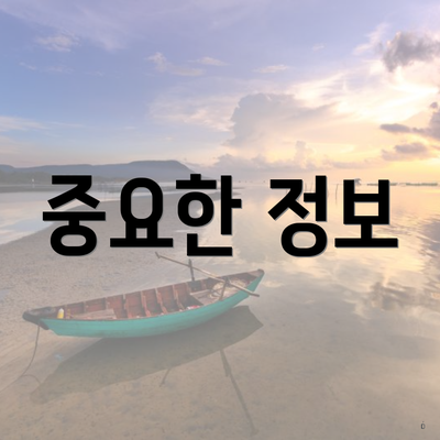 중요한 정보