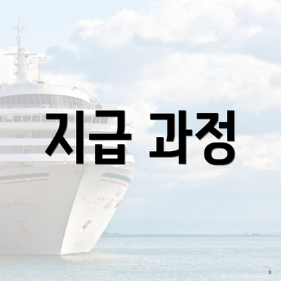 지급 과정