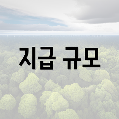 지급 규모