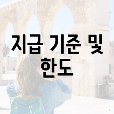 지급 기준 및 한도