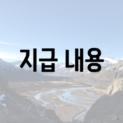 지급 내용