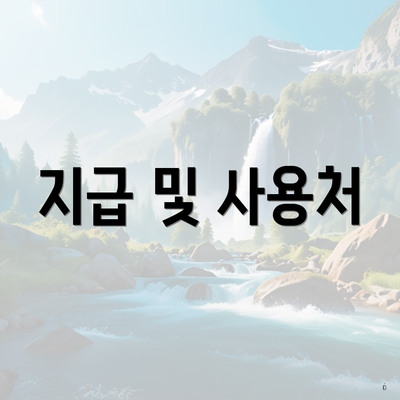 지급 및 사용처